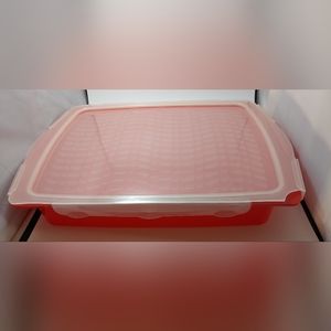 Vintage Meat Marinade Grilled Set With Lid. See Description